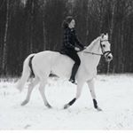 Julia Svensson Rosenlund - Instagram Profile Picture of Julia Svensson Rosenlund (@juliasvensz_) on Instagram