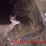 Profile Picture of Shane Kearns (@shane.kearns.121) on Instagram