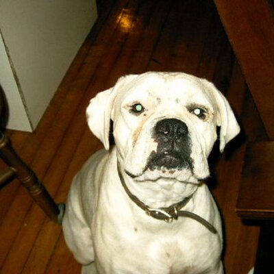 Profile Picture of Ray Savage (@docsavage59) on Twitter