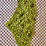 Profile Picture of Amal Abu Safieh (@amal.abu.safieh.2025) on Facebook