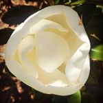 Profile Picture of Glenn Keyzer, Renee Ricketts (@g.r_landscapes) on Instagram