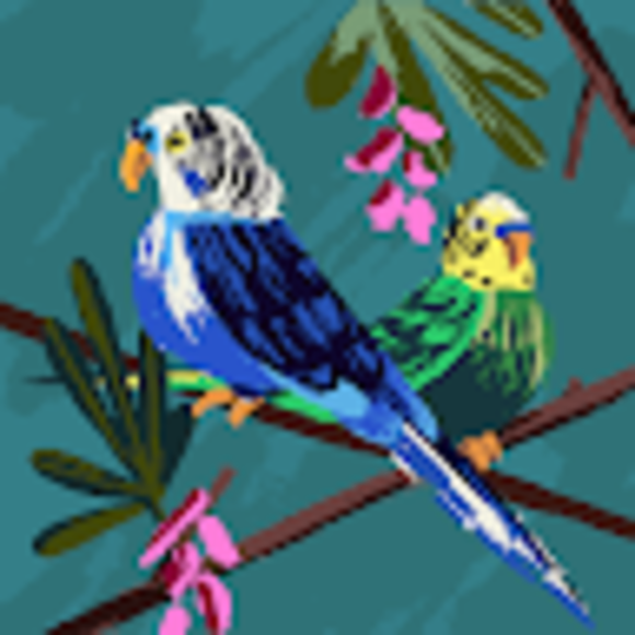 Profile Picture of Aramesh Nazari (@nazariaramesh12) on Poshmark