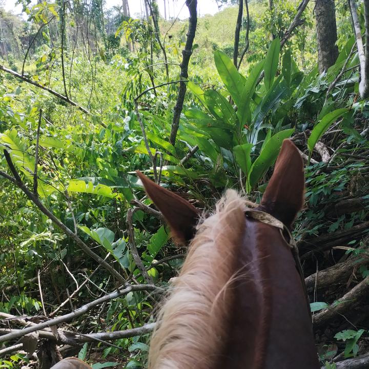 df - Tiktok Profile Picture of df (@kevinkeylon) on Tiktok