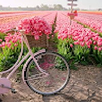 Profile Picture of Silvia Rivas (@silvia-rivas-41) on Quora