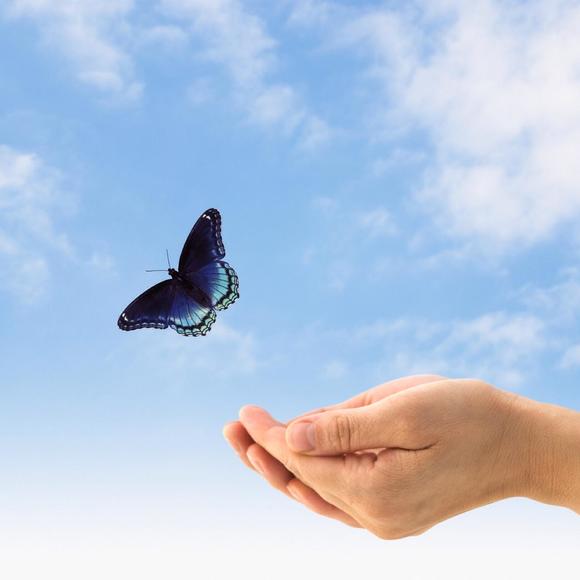 Profile Picture of Arni Gilboy (@arnigilboy) on Poshmark