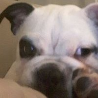 Profile Picture of Debbie Martin-reid (@debbie-martin-reid) on Quora