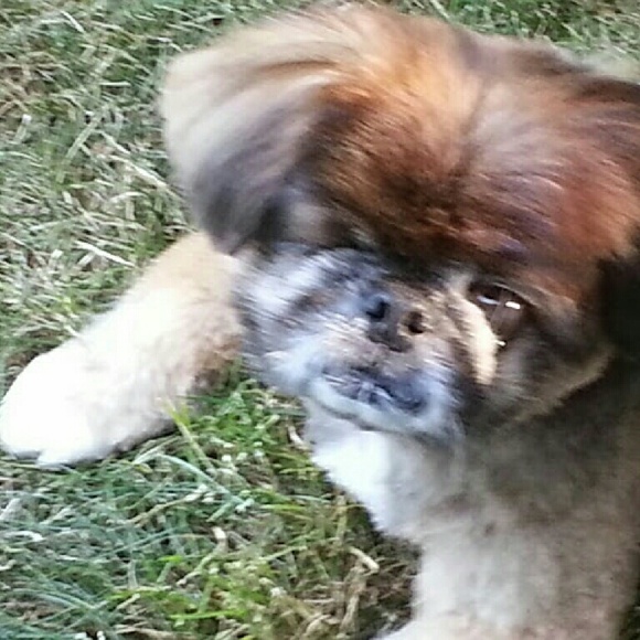 Cynthia Geros - Poshmark Profile Picture of Cynthia Geros (@luvtheplanet) on Poshmark