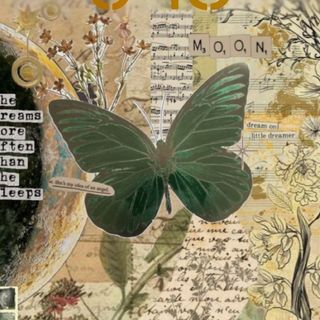 Alex Jolly - Instagram Profile Picture of Alex Jolly (@alex.jolly56) on Instagram