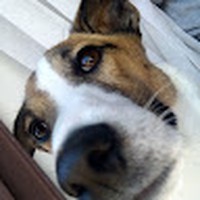 Profile Picture of Preston Coleman (@preston-coleman-20) on Quora