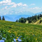 Profile Picture of David Messner (@david_messner2) on Instagram