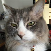 Profile Picture of Dave Cloutier (@davecloutier1424) on Youtube