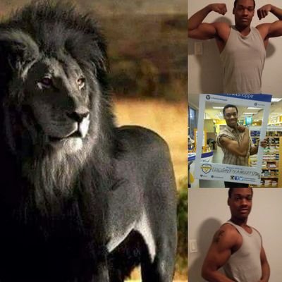 Profile Picture of Da Protein Monster (@MauriceMcCarter) on Twitter