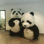 Profile Picture of Harris Pang Chee Choong (@harrispangcc) on Instagram