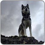 Profile Picture of carl_boydj (@carl_boydj) on Instagram