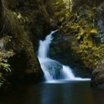 Profile Picture of nick_ mayer_04 (@nick_mayer_04) on Instagram