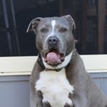 Profile Picture of Brett Plumb (@redirt2018) on Instagram