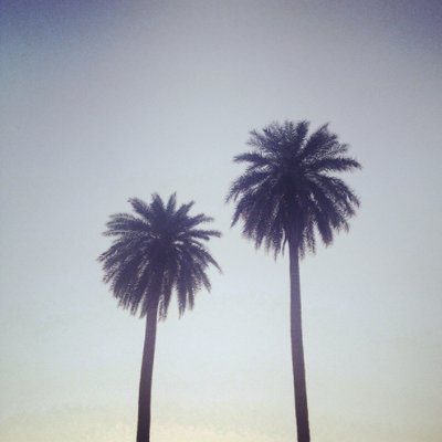 Profile Picture of Rebecca Conway (@rebeccajconway) on Twitter