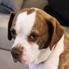 Profile Picture of Joe Hutton (@@shmokinshmo) on Tiktok
