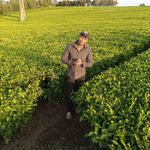 Profile Picture of Michael Gituati (@michaelgituati6) on Instagram