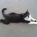 Profile Picture of Nancy Grinder (@nancygrinder) on Pinterest