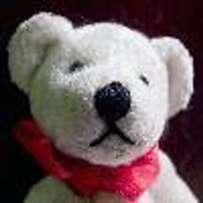 Profile Picture of Scott Hussey (@skiffens) on Twitter