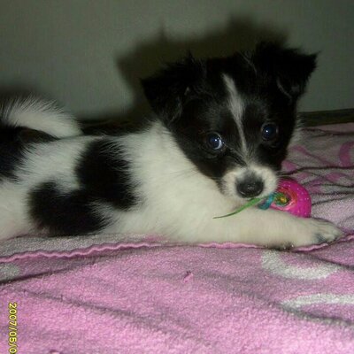 Profile Picture of Tanya Hines - Gray (@Mrsthines79) on Twitter