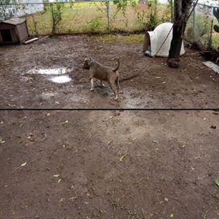 Profile Picture of Glendell Perkins (@glendell.perki) on Facebook