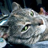 Profile Picture of Joseph Shuey Jr (@joseph-shuey-jr) on Quora