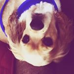 Profile Picture of George Morejon (@shredder1221) on Instagram