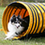 Profile Picture of Davidmorrison1 (@davidmorrison1) on Flickr