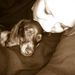 Profile Picture of Christina Foote (@ccason0319) on Pinterest