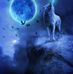 Profile Picture of Dawn Tender (@dawn.tender.12) on Facebook