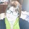 Profile Picture of Lori Sites (@lori.sites.1) on Facebook