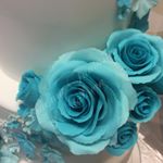 Profile Picture of Maria Griffiths (@fondantfantasiesmalvern) on Instagram