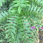 Kelley Weber - Instagram Profile Picture of Kelley Weber (@kelleyweber21) on Instagram