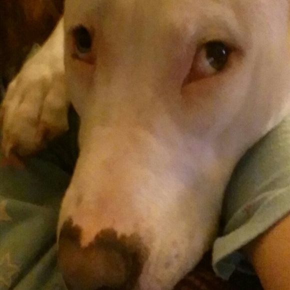 Profile Picture of Kim Mahaffey (@kim31074) on Poshmark