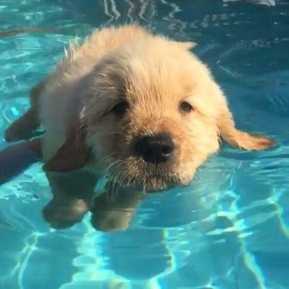 Profile Picture of Phoebe Adams (@qvwstwhvmd) on Poshmark