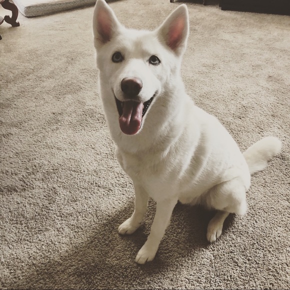 Profile Picture of Justin Tolentino (@jus10pounds) on Poshmark