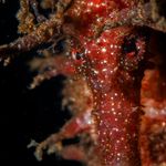 Profile Picture of Alejandro Ibañez (@alesibanez) on Instagram