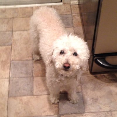 Profile Picture of Peggy Chase (@pegs614) on Twitter