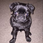 Profile Picture of Leah (@leah_parsons077) on Instagram