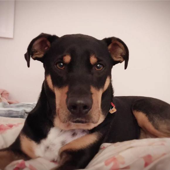 Profile Picture of Lucille Campbell (@lucillecampbell) on Poshmark