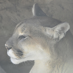 Profile Picture of Laz & Christine's Creative Photography (@laz & christine's creative photography) on Flickr