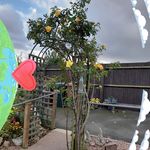 Profile Picture of Joy Ralph (@joy.ralph.92) on Instagram