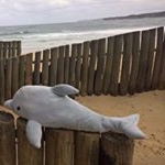 Profile Picture of Clarence (@clarencefortathra) on Instagram