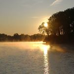 Profile Picture of Yanfei Liu (@catbuckeye) on Instagram