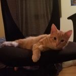 Profile Picture of Zachary Linderman (@zacharylinderman) on Instagram