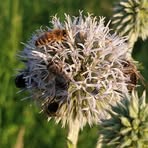 Profile Picture of Andrzej Skrzypiec (@Andrzej-Skrzypiec) on Facebook