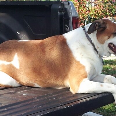 Profile Picture of Bryan Brokaw (@Theorldj23Bryan) on Twitter