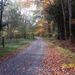 Profile Picture of Cheryl Weimer (@cwotring) on Pinterest